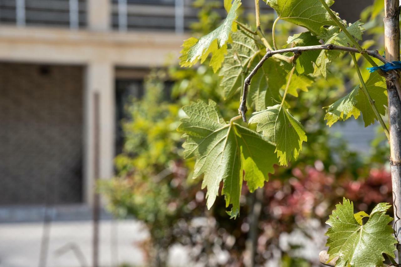Villa Garden Shkodra 외부 사진