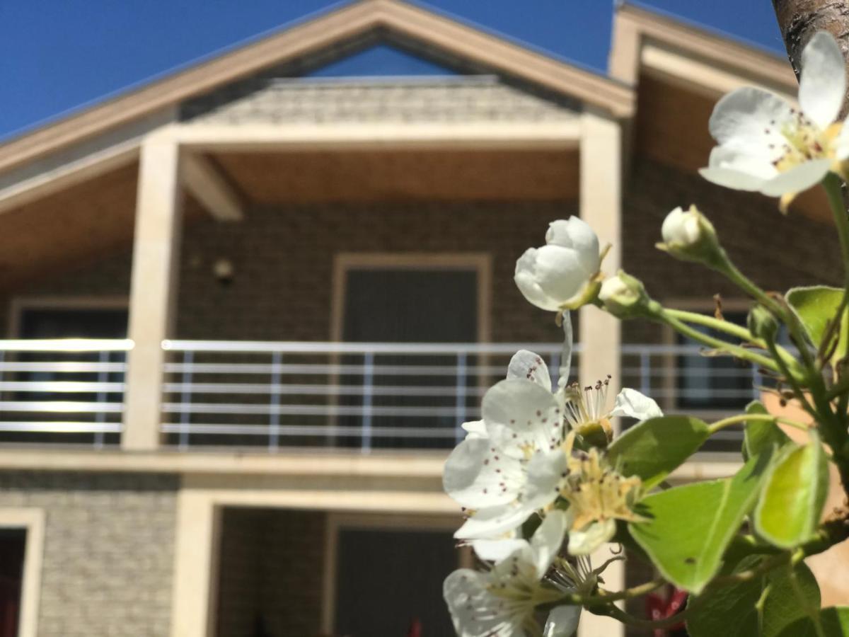 Villa Garden Shkodra 외부 사진