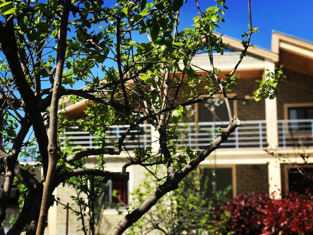 Villa Garden Shkodra 외부 사진